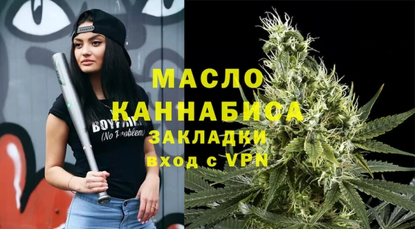 молекула духа Вязьма