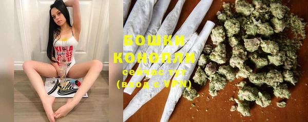 ПСИЛОЦИБИНОВЫЕ ГРИБЫ Волосово
