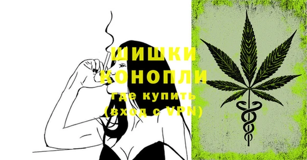 ПСИЛОЦИБИНОВЫЕ ГРИБЫ Волосово