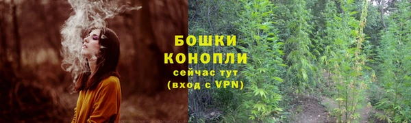 ПСИЛОЦИБИНОВЫЕ ГРИБЫ Волосово