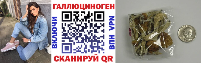 Псилоцибиновые грибы Psilocybe  Купить  Красноармейск 
