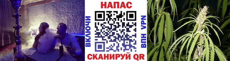 Бошки марихуана планчик Красноармейск